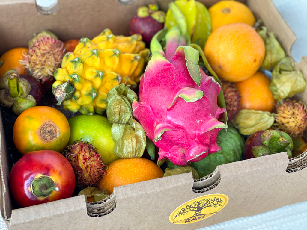 Essentials Exotic Fruit Box (S)
