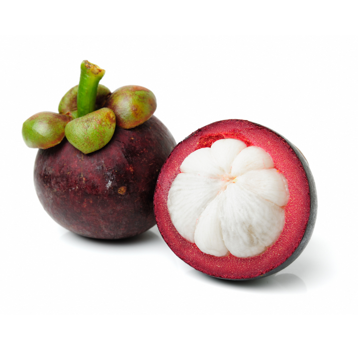 Mangosten